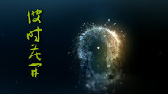 皓天 - 彼时花开