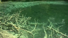 山静水流开画景