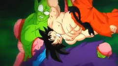 FIELD OF VIEW - Dragon Ball