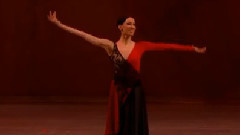 Victoria Tereshkina艺术之夜