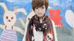 幸福的孤单 歌词版