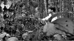 Backgroud Clip# SUHO