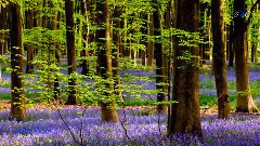 Ernesto Cortazar - My Love For You