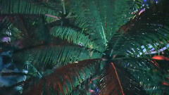 Unknown Mortal Orchestra - Multi Love