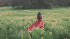 Megan Nicole - Escape