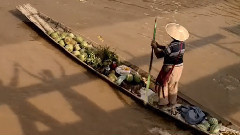 印度群星 - Aaththaadi