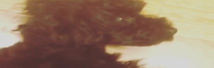 泰妍instagram with金泽 13/08/08