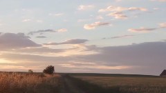 Colleagues - Somewhere