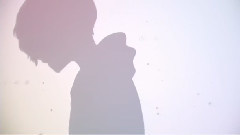 Nico - 人生多别离