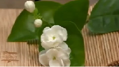 Omar Akram,音乐短片 - Take My Hand