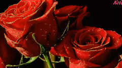 Giovanni Marradi - If You Only Knew