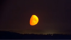 Gregorian - Vincent Starry, Starry Night