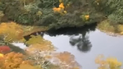 民乐群星 - 青藏高原