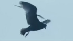 Stamatis Spanoudakis,音乐短片 - Klemena Filia