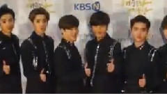 大韩民国大众文化艺术赏 红地毯