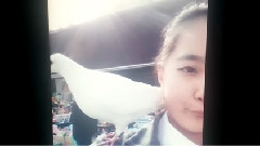 音悦stage - jyp2014