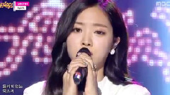 Secret - 现场版 14/11/22