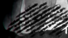 パラドックスレイン