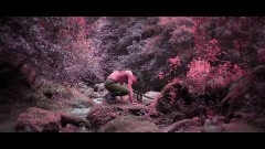 Astha Tamang-Maskey - Where Have You Been?