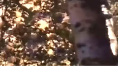 电影<归心似箭>片头曲