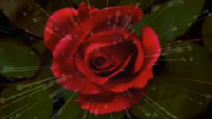 Sarah Brightman,音乐短片 - Scene D Amour