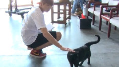 American Hustle Life 未公开影像