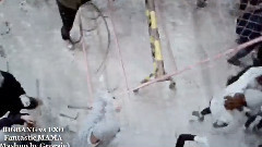 Fantastic Baby & Mama