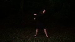 Dream Dreamed A Dream