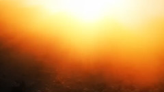 Enigma - The Same Parents