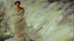 The Video Collection