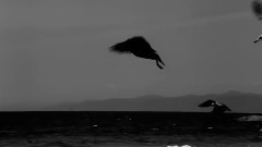 Lana Del Rey - Money Power Glory