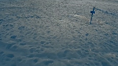 Ńemy - Żyć Wietrznie