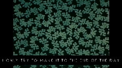 Generationals - Black Lemon 歌词版