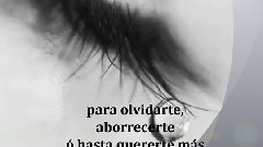 Sobrevivire 歌词版