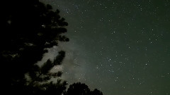 I'Ve Never Been To Me