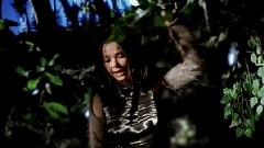 Björk - Human Behavior