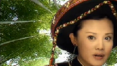 杨倩琳 - 茶王树