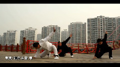 小苹果-功夫书生