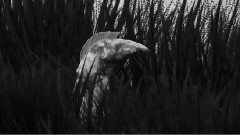 Of Monsters And Men - Numb Bears