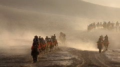 九月交河鸟争飞