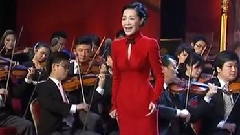 吕薇 - 2012新年音乐会