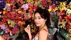 大島優子どこまで咲けるか,やったりましょう ピュレグミ新CM