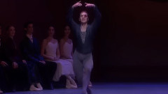 天鹅湖王子与黑天鹅大双人舞