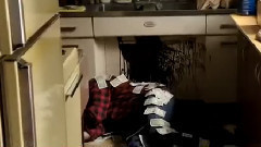 电影<破坏者>中文版先行预告