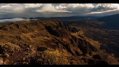 Anything You Want 歌词版