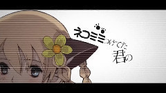 Nico - サリシノハラ