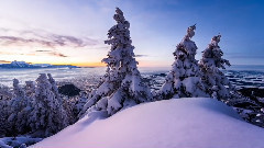 奥地利的梦幻之旅
