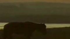 德德玛 - 我的母亲