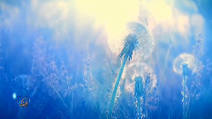 Giovanni Marradi - Peacefully