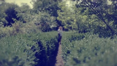 Giovanni Marradi - Romantico